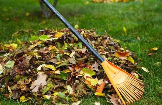 opgeruimde tuin en leeg gemaakt